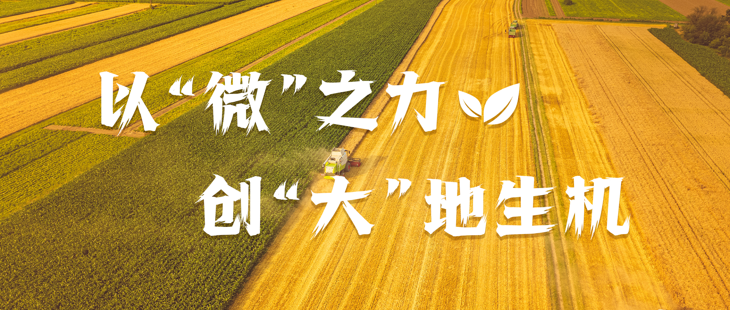 &#20061;&#28216;