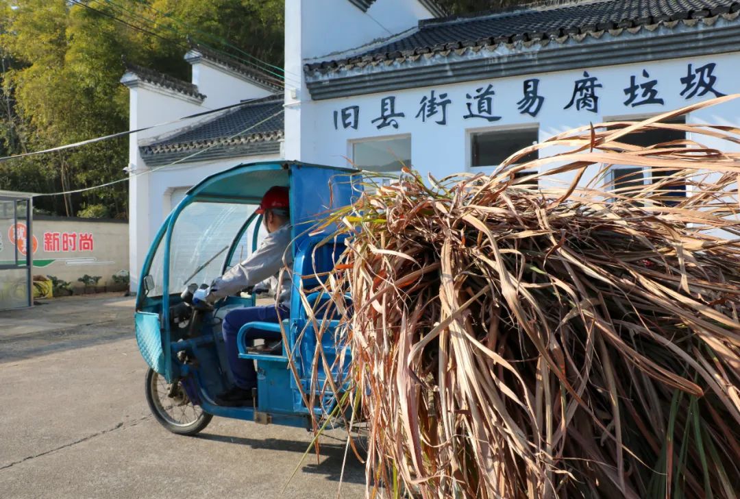 &#20061;&#28216;