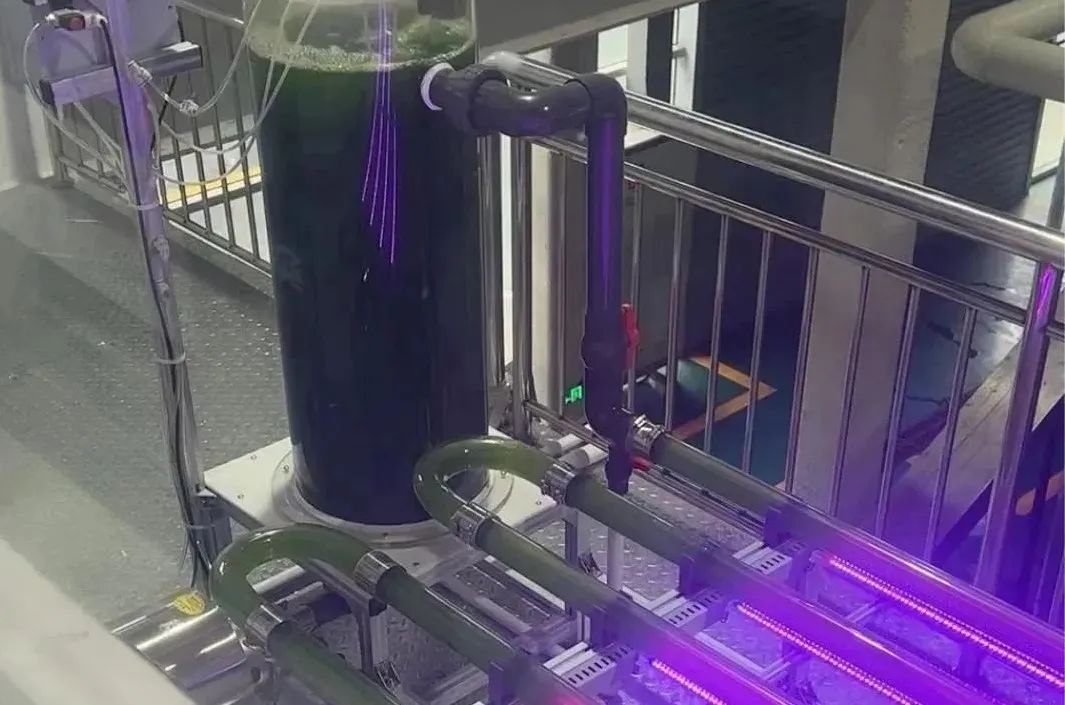 &#20061;&#28216;