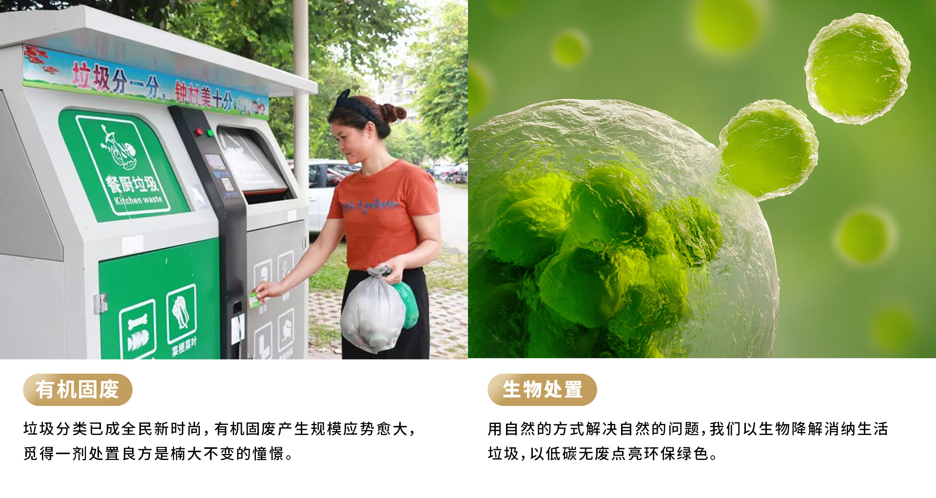 &#20061;&#28216;